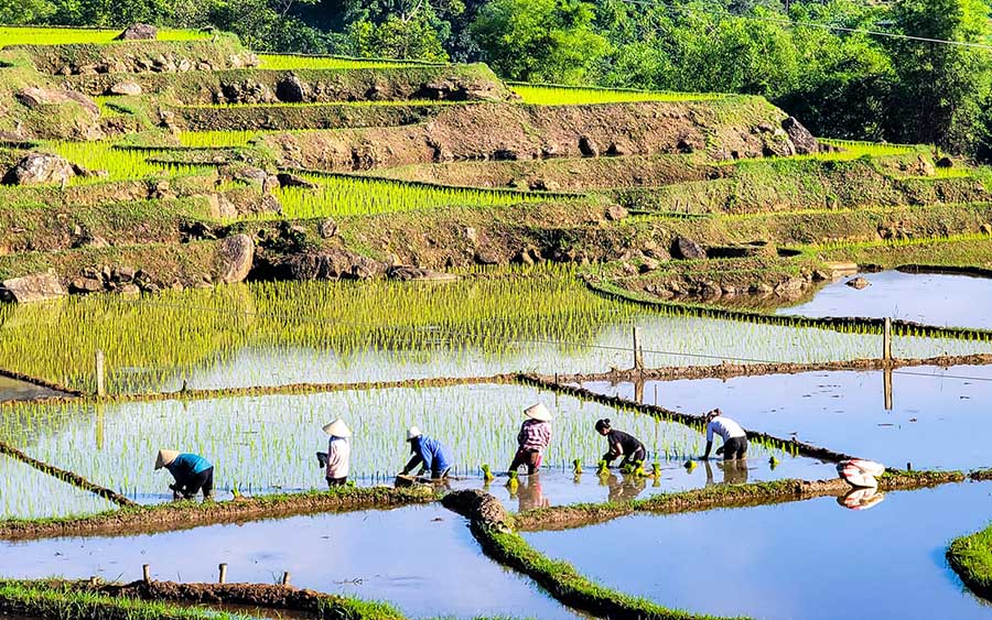 ninh binh or sapa - sapa vietnam